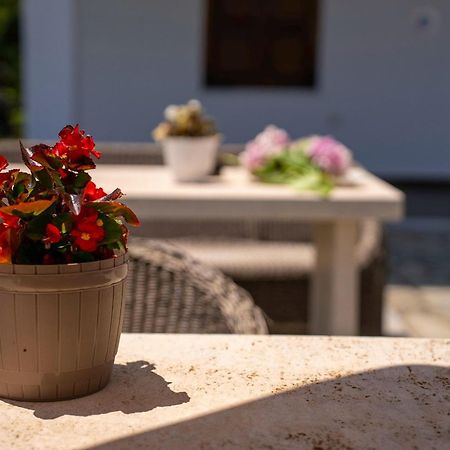 Paradeisos Rooms Pelion Áyios Dhimítrios Exteriér fotografie