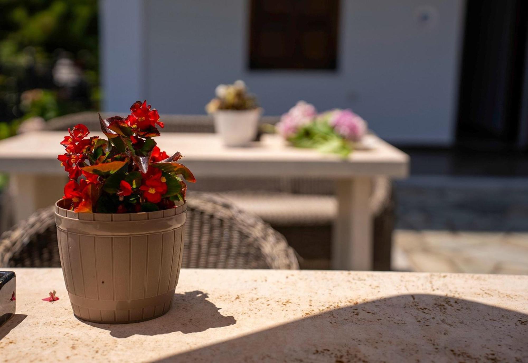 Paradeisos Rooms Pelion Áyios Dhimítrios Exteriér fotografie