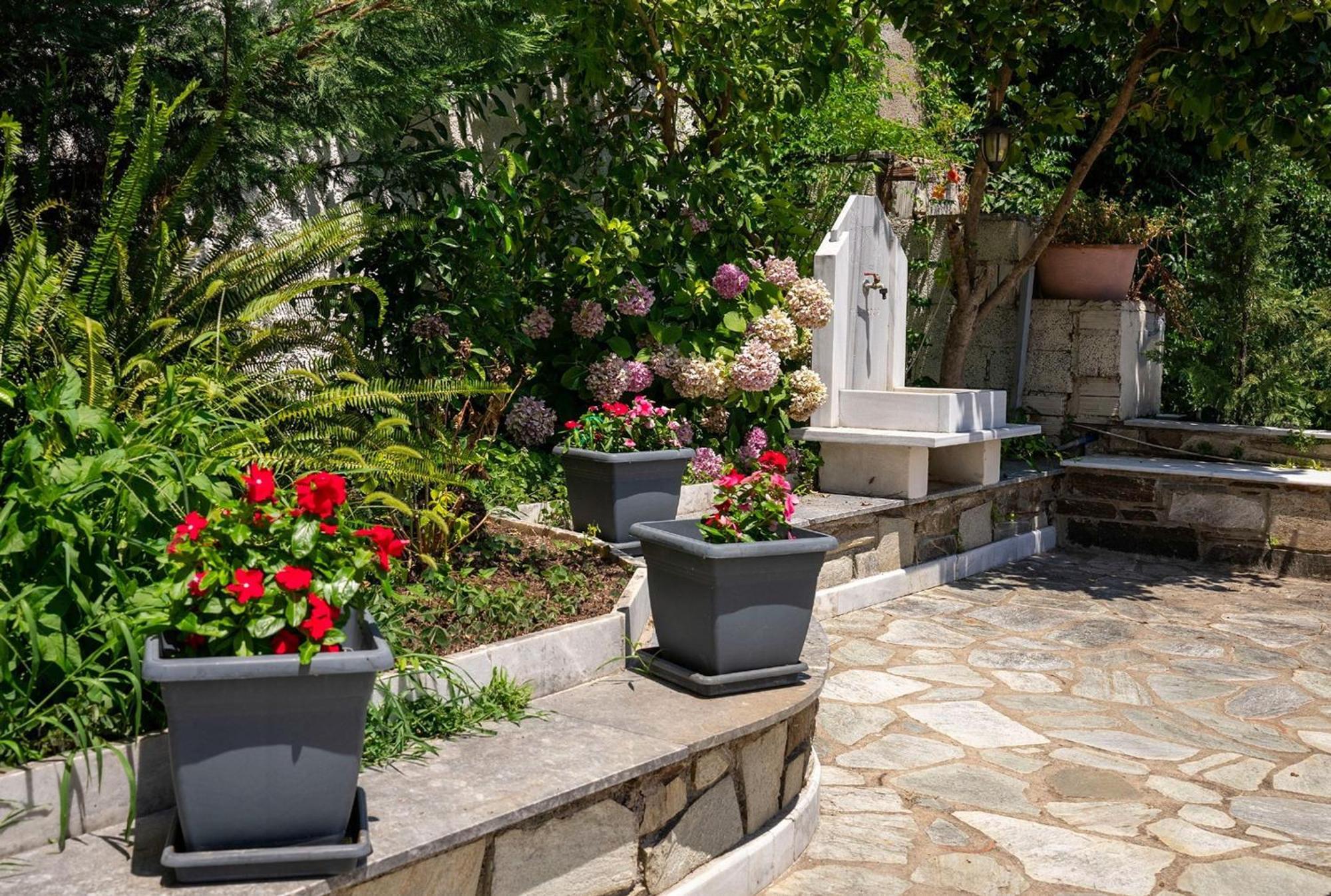 Paradeisos Rooms Pelion Áyios Dhimítrios Exteriér fotografie